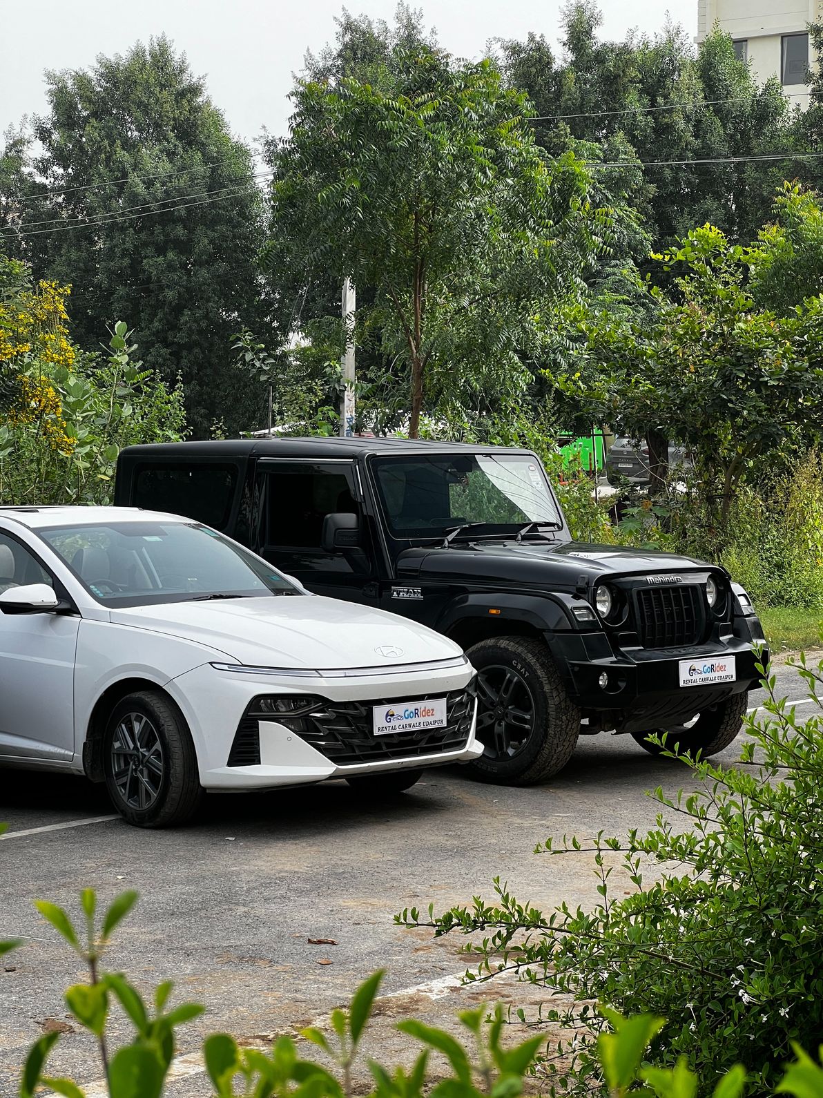 Self Drive Cars